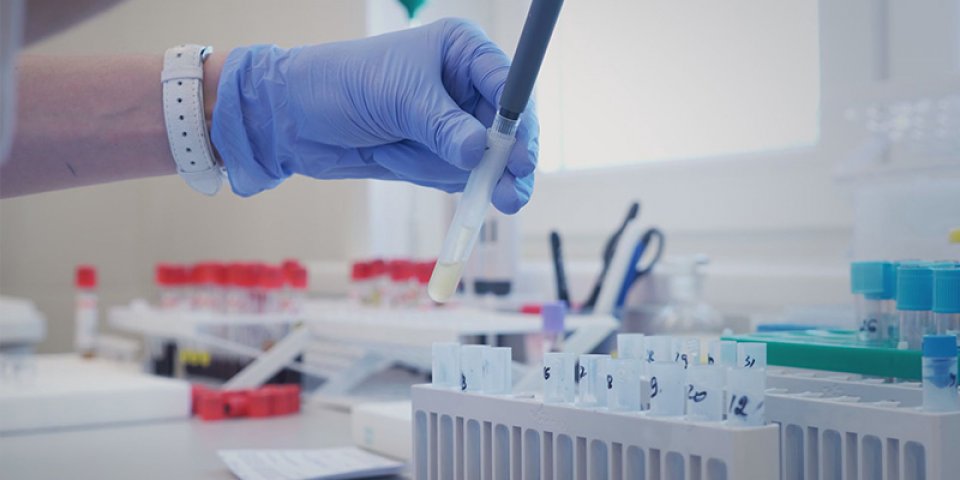 Laboratorium w Podzamczu wykonuje tysiąc testów na dobę